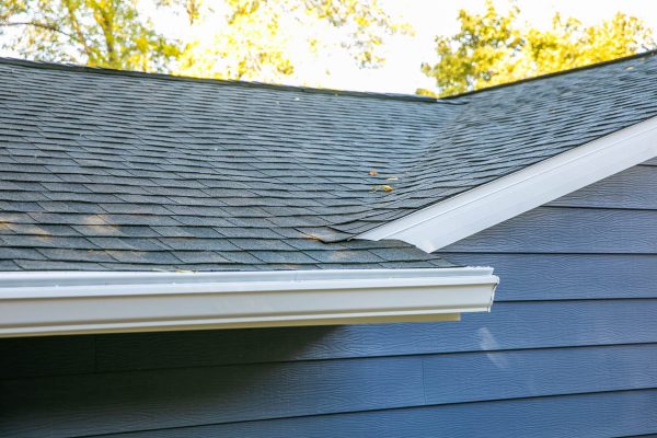 gaf-appalachian-sky-gutters-painting-diann-barker4