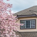 the-top-of-the-house-or-apartment-building-with-shingle-roofing-and-tree-aside